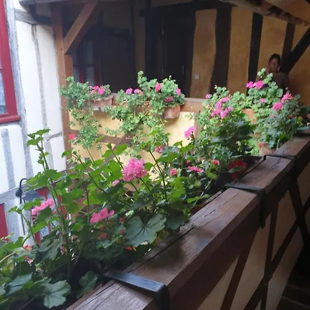 Appartement Maison Du Dauphin 1534 Troyes