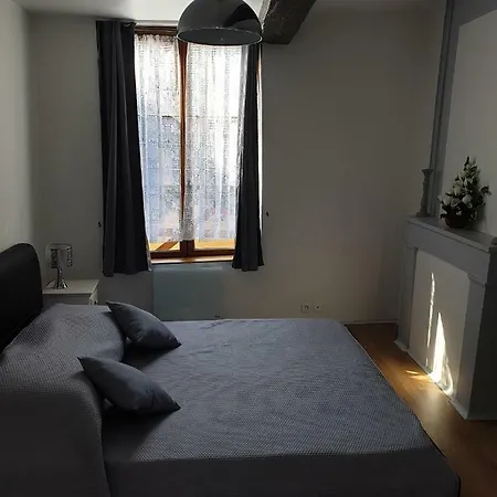 Maison Du Dauphin 1534 Apartment *